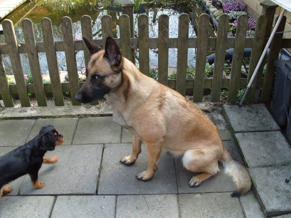 mandy leert angel zit 