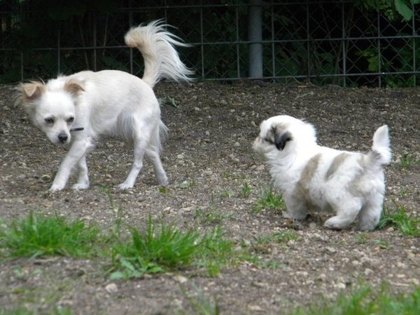 Wat is dat nou weer... ?