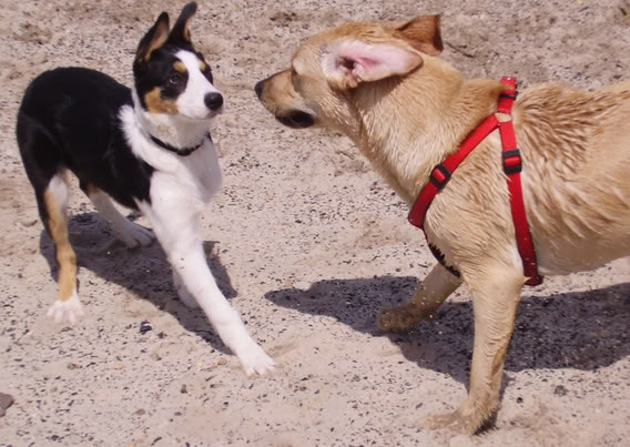 woooow... ik doe niets....