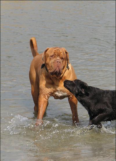 wat ben jij groot...