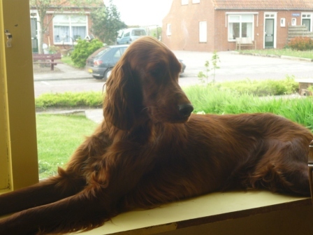 Wijnand & Jeanette Terpstra