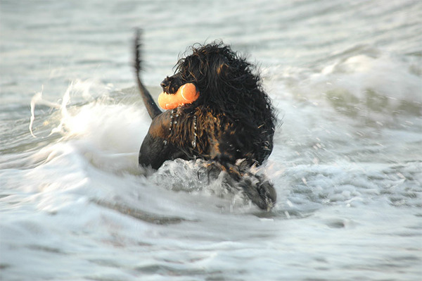 Ellen Rijnbeek-Hagendijk