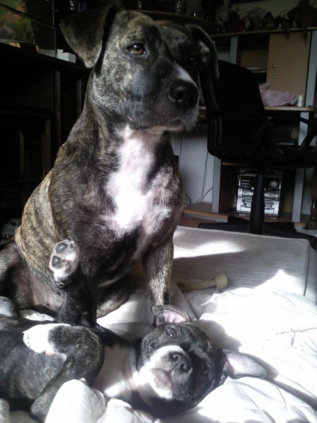 kayya is heel trots op buddhah (nu 11 wkn)