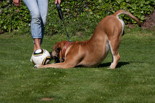 de Anton-modus, ofte speelboog...:-)