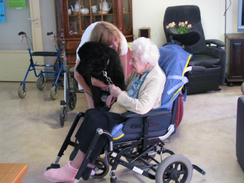 Diny Esveld. King of the wolfpack