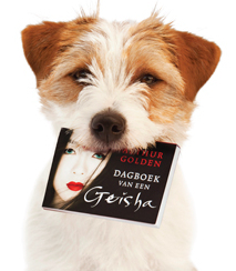 Hunters Pride, of the Jack Russell Terriers 