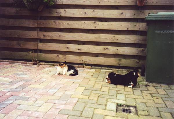 Yayyy! Nieuw Speelgoed!