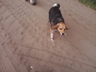 Playtime