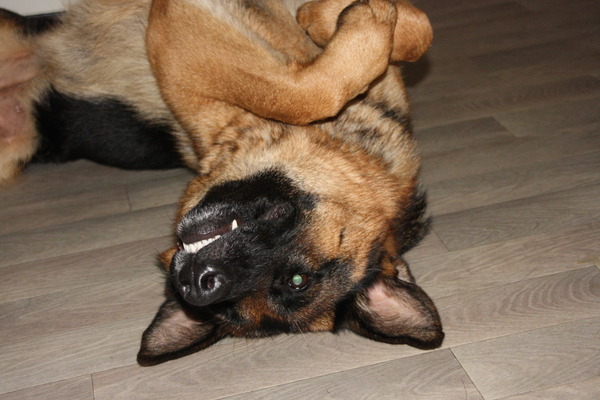 even lekker uitrusten