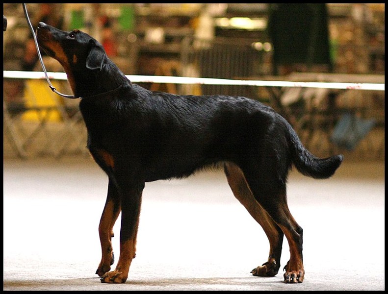 L'Ami de la Campagne