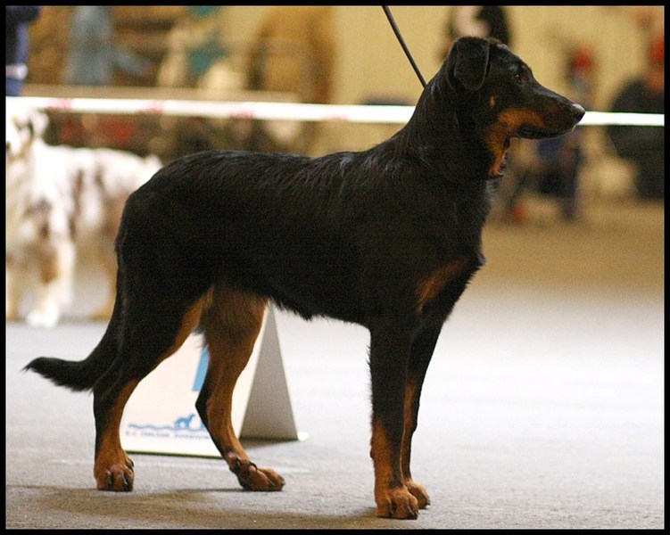 L'Ami de la Campagne