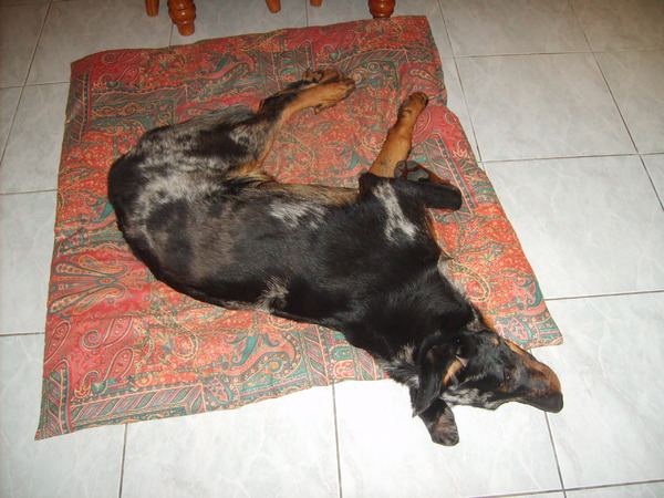 L'Ami de la Campagne