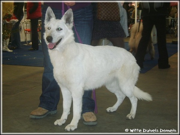 Witte Duivels Domein