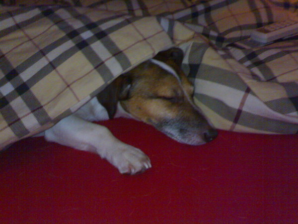 Slapen doet hij ook graag!