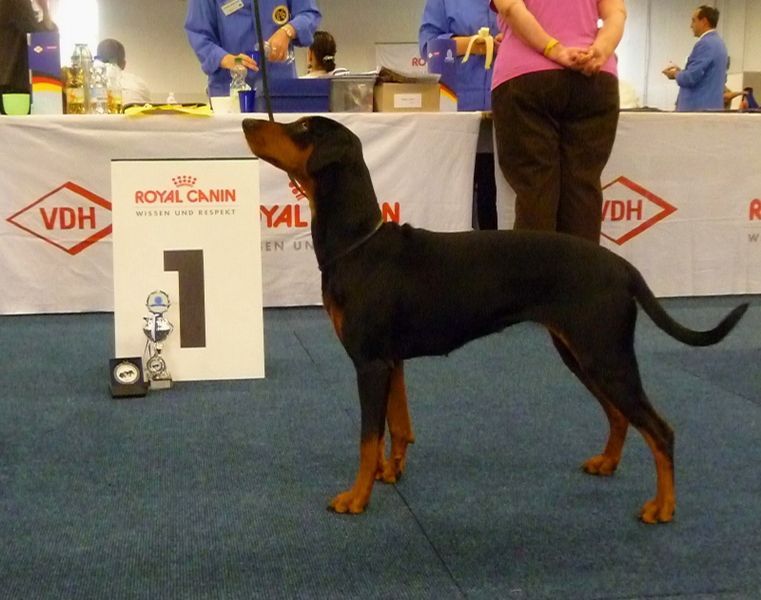 Van de Beste Maatjes