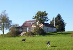 Bodensee / Deggenhausertal