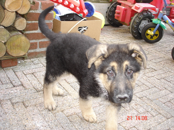 Lekker in het zonnetje