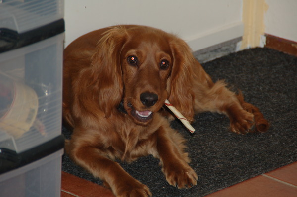 Senna mer haar sigaar