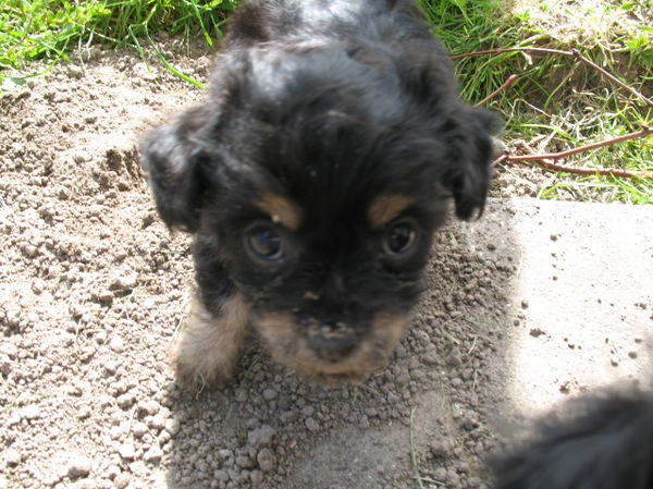 Queeny zandworm hihih