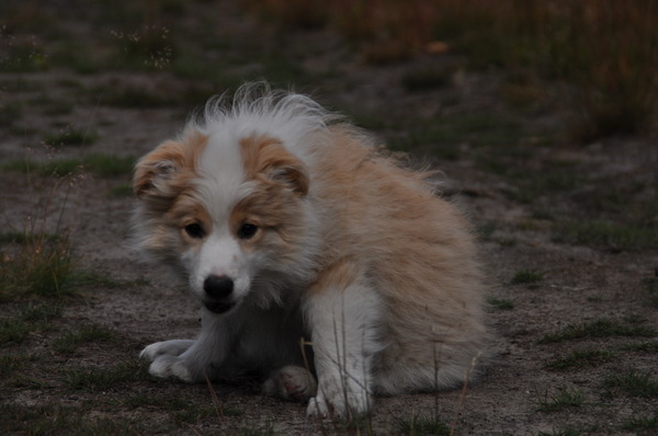 You'll be in my Heart