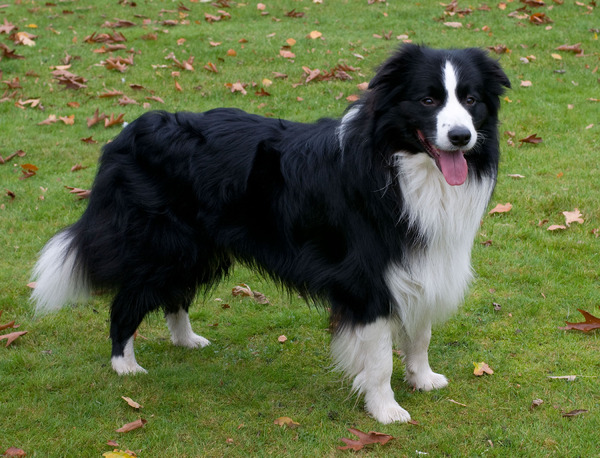 You'll be in my Heart