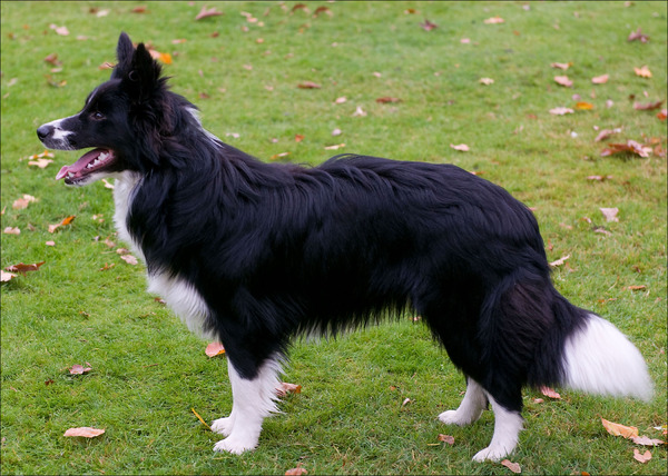 You'll be in my Heart