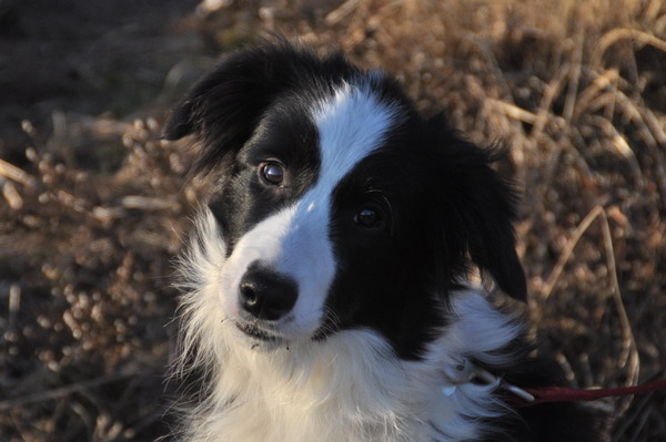 You'll be in my Heart