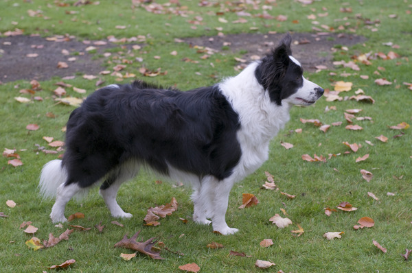 You'll be in my Heart