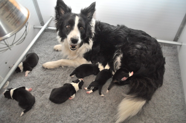 You'll be in my Heart