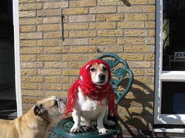 wat heb jij nou op je kop ?