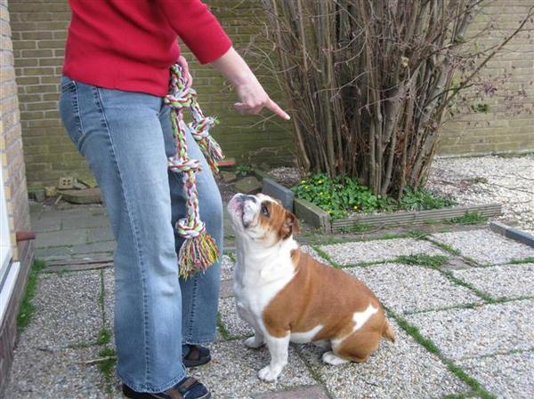 geef me dat flostouw nou eens