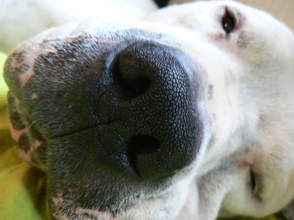 up close and personal