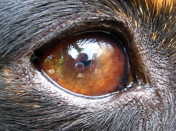 Mijn vrouwmens in mijn lens