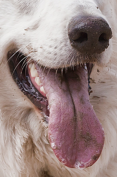 Smile!!!