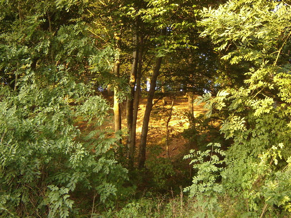 spaubeek