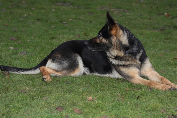 op men hoede blijven...