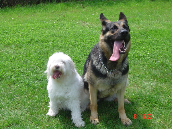 twee zussen samen spelen..