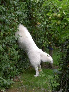 Wat zie ik daar nou?