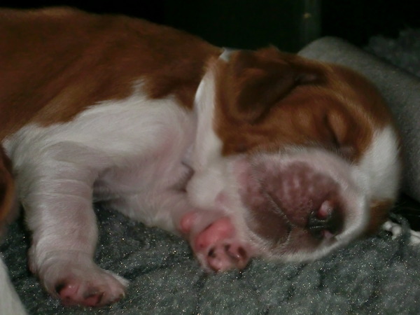 Of The New Born Beauty's