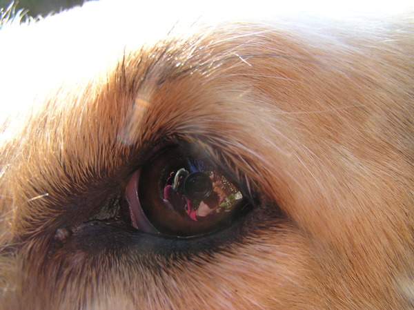 What's on my mind/eye