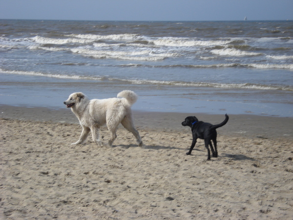 Hee, ik loop lekker achter jou aan..