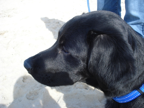 Raad jij maar eens waar ik naar kijk?