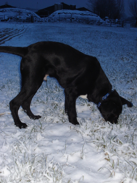 ff neuzen in de sneeuw hoor