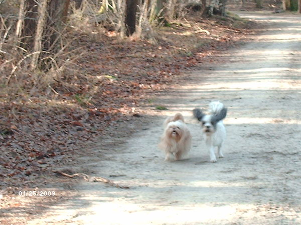 Turbo lijkt wel op te stijgen met die oren