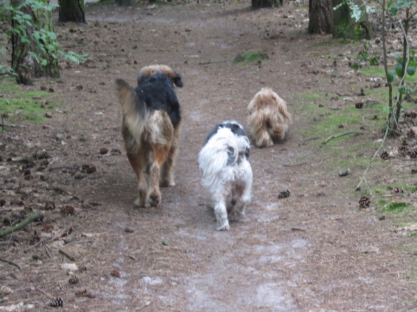 Drie heerlijke kontjes.