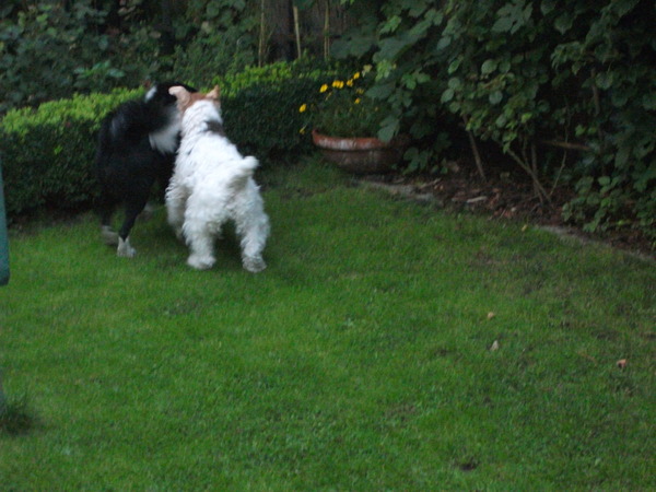 woody en terra hun pluizige kont =)