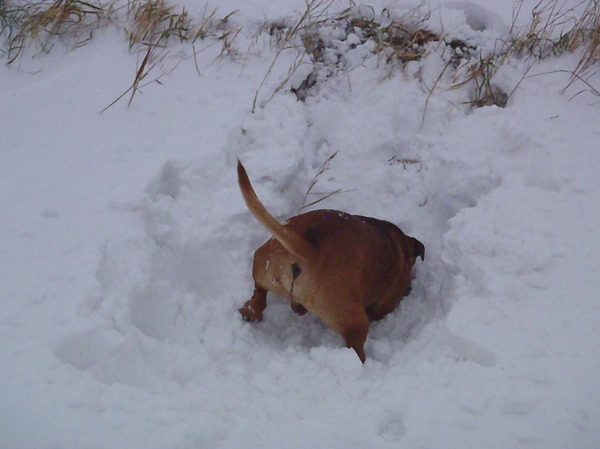 ik zie ik zie wat jij niet ziet