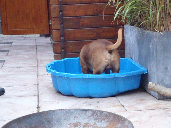 ik probeer me te verstoppen