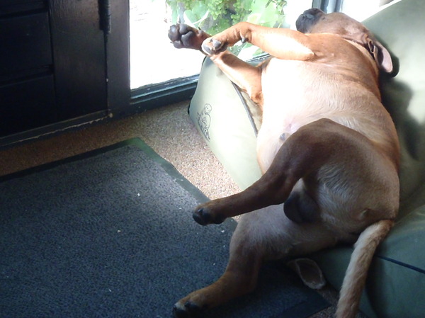 ben te moe om normaal te liggen