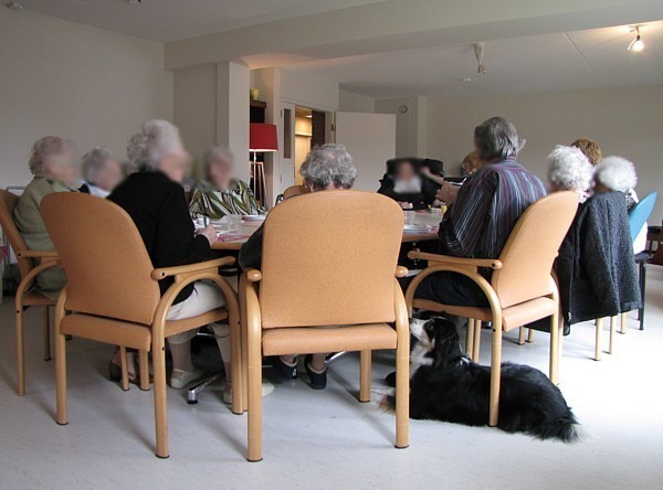 Flóki stimuleert een bewoner